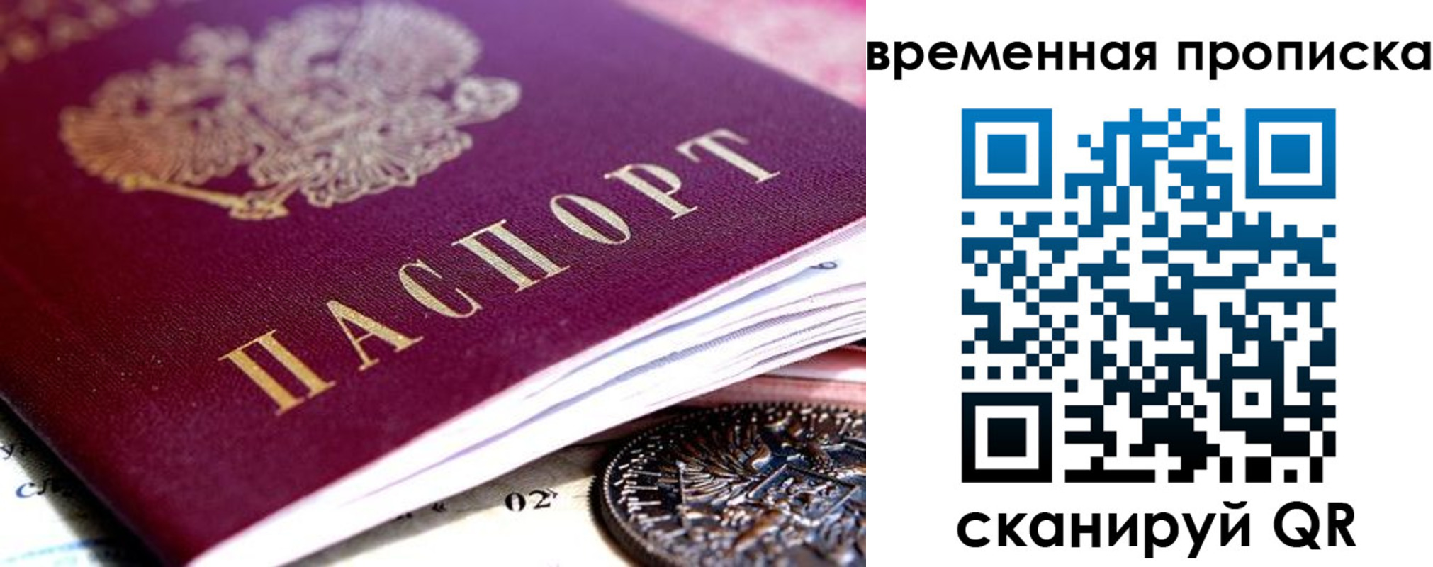 временная прописка в Жукове